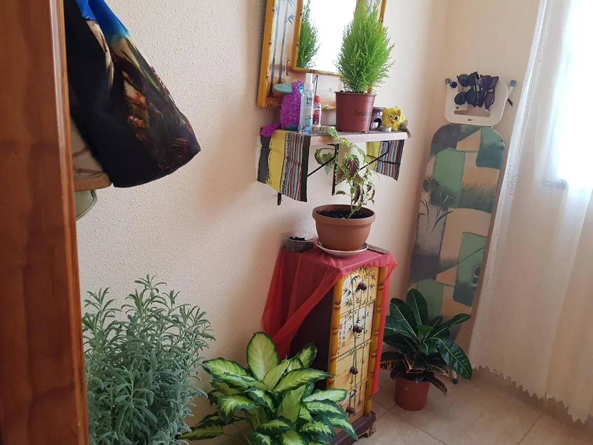 Appartement laurainu à Puerto del Rosario  Séjour chez l'habitant Puerto del Rosario (Fuerteventura)
